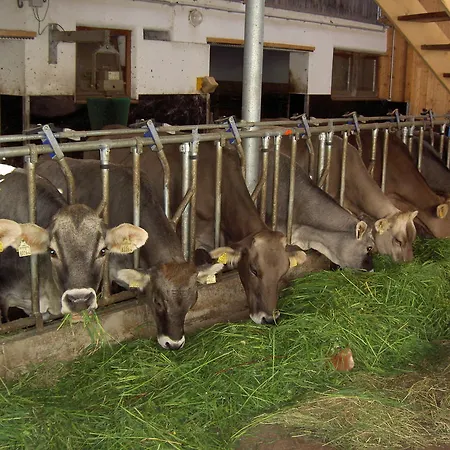 Holiday home Sendlerhof *