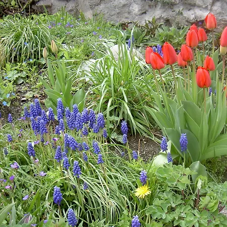 Holiday home Sendlerhof *