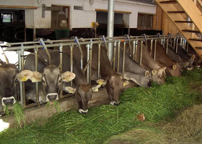 Дом отдыха Sendlerhof *