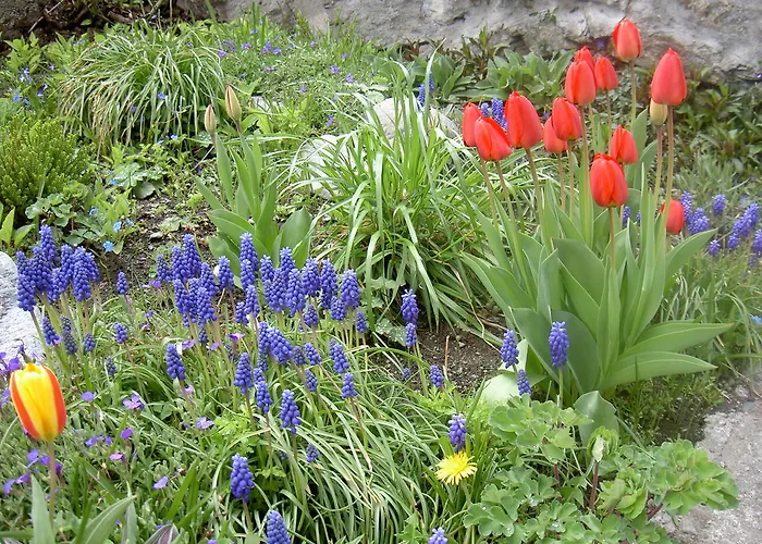 Dom wakacyjny Sendlerhof *